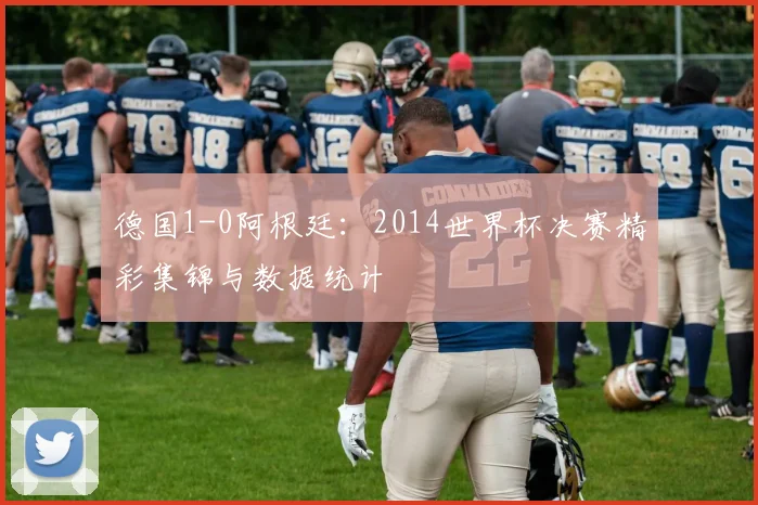德国1-0阿根廷：2014世界杯决赛精彩集锦与数据统计